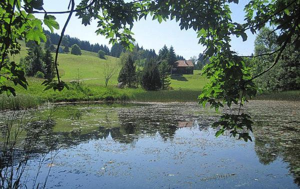 Hotel Kaubad Appenzell Exterior photo